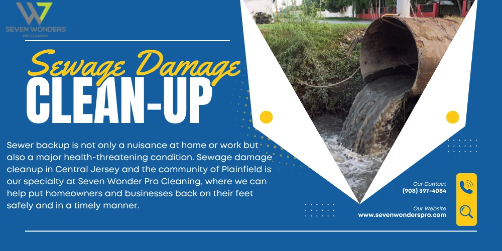 Seven Wonder Pro Cleaning staff engaged in sewage repair and cleanup, addressing water damage in a New Jersey property.
